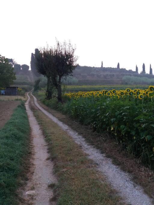 Podere Gian Battaglia Fucecchio Exterior foto