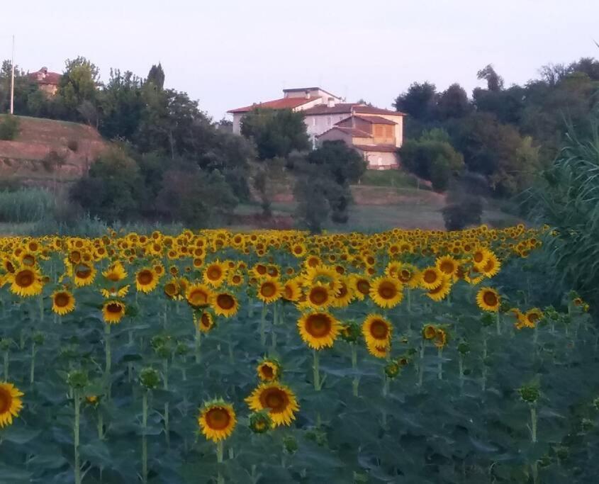 Podere Gian Battaglia Fucecchio Exterior foto