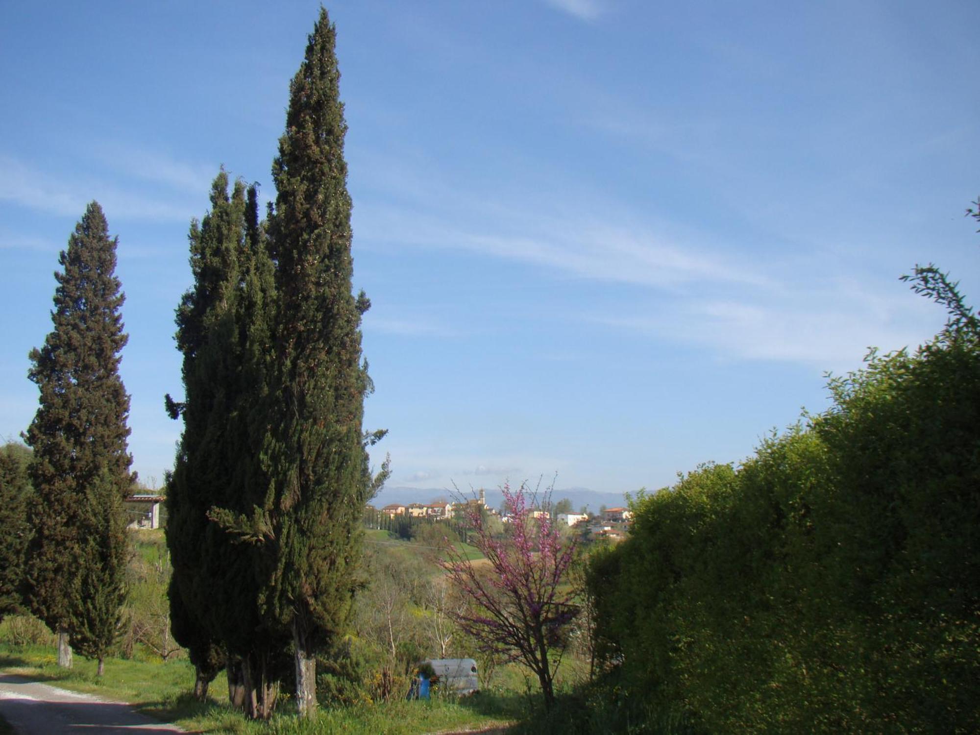 Podere Gian Battaglia Fucecchio Exterior foto