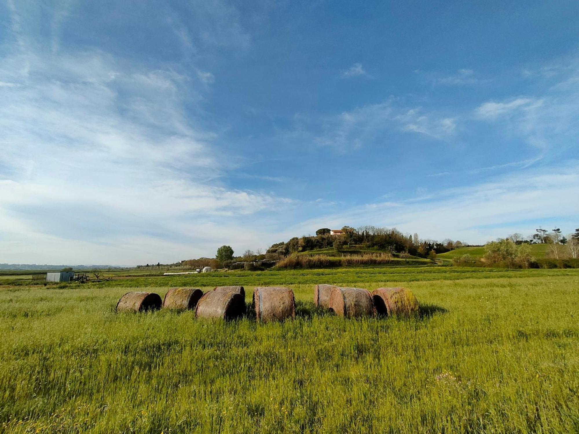 Podere Gian Battaglia Fucecchio Exterior foto